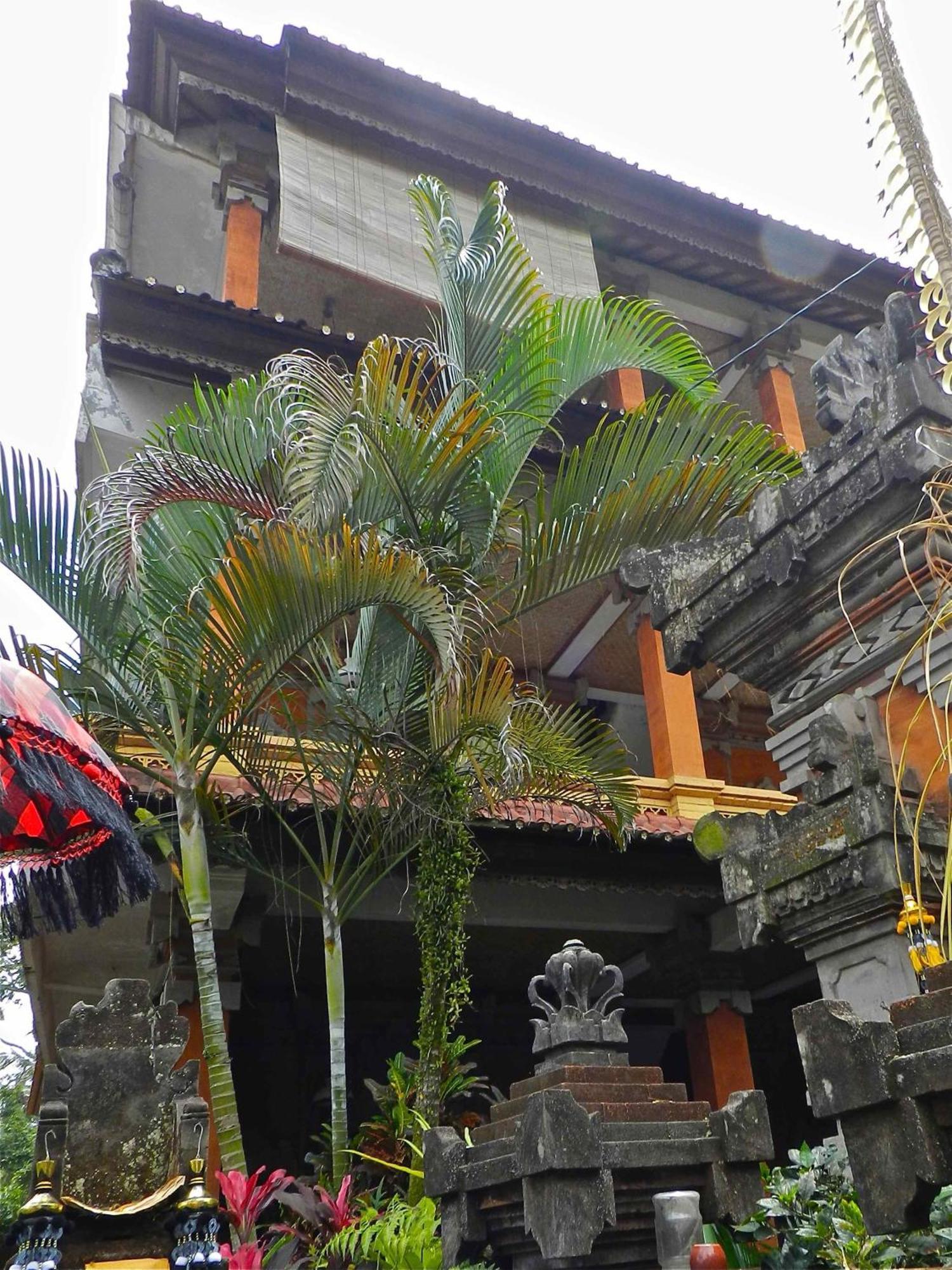 Kori Bali Inn I Ubud Dış mekan fotoğraf